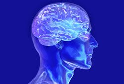 "10 Surprising Facts About the Human Brain"